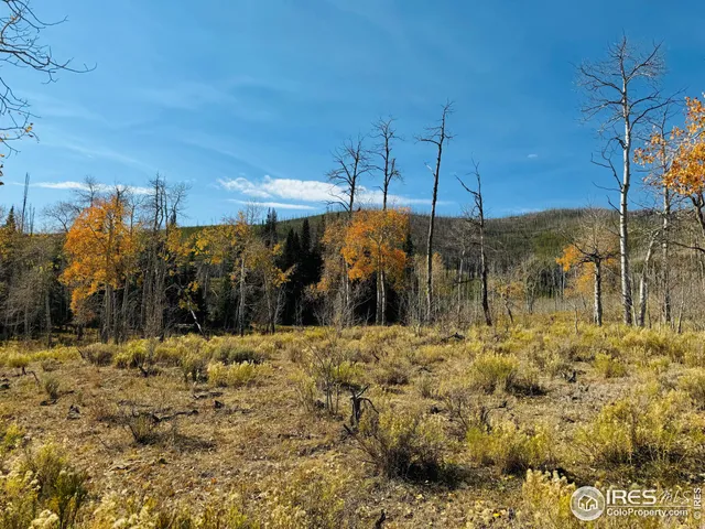 $987,000 | 0 Parsons Draw Road, Cowdrey, CO 80434