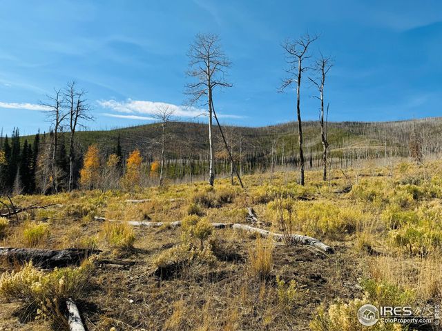 $987,000 | 0 Parsons Draw Road, Cowdrey, CO 80434