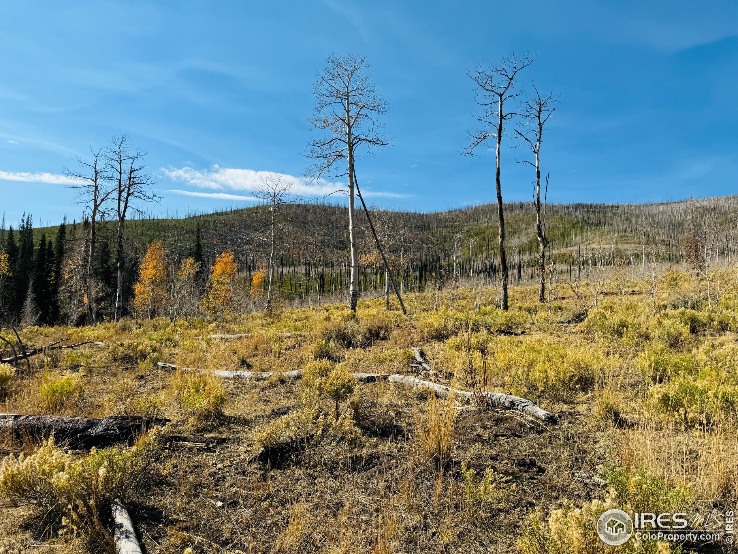 0 Parsons Draw Road Cowdrey, CO 80434 - Photo 27 of 40