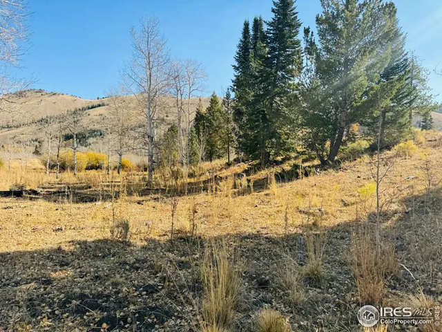 $987,000 | 0 Parsons Draw Road, Cowdrey, CO 80434