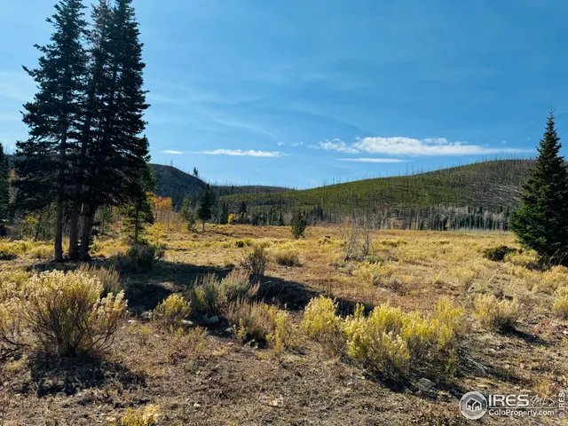$987,000 | 0 Parsons Draw Road, Cowdrey, CO 80434