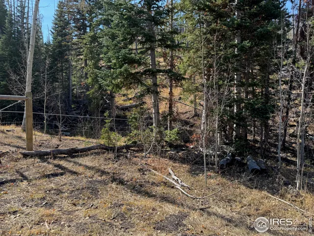 $987,000 | 0 Parsons Draw Road, Cowdrey, CO 80434