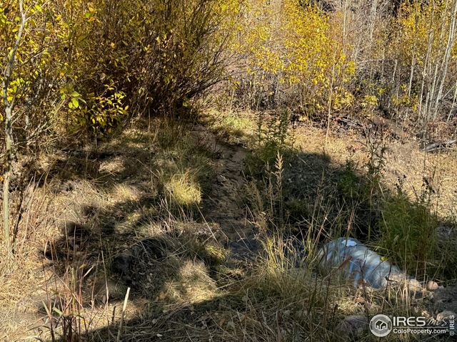 $987,000 | 0 Parsons Draw Road, Cowdrey, CO 80434