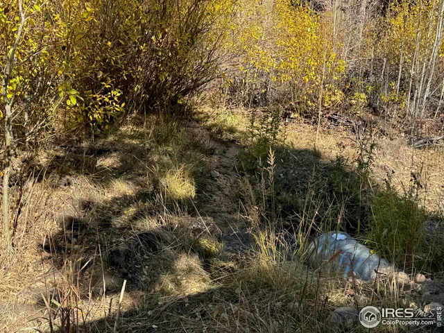 $987,000 | 0 Parsons Draw Road, Cowdrey, CO 80434