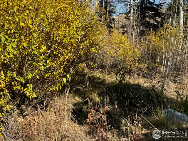 $987,000 | 0 Parsons Draw Road, Cowdrey, CO 80434