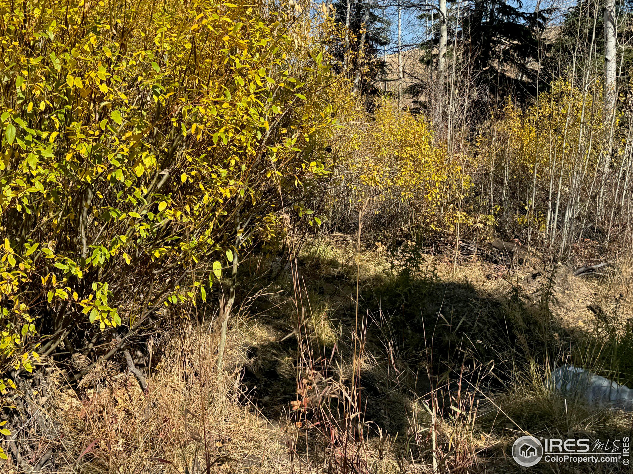 0 Parsons Draw Road Cowdrey, CO 80434 - Photo 33 of 40