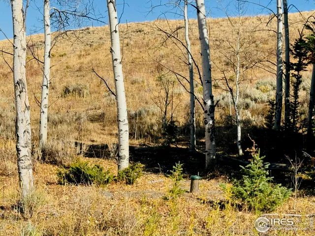 $987,000 | 0 Parsons Draw Road, Cowdrey, CO 80434