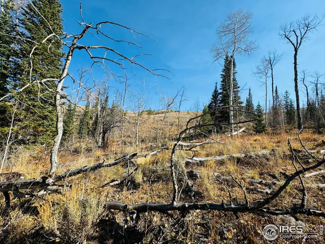 $987,000 | 0 Parsons Draw Road, Cowdrey, CO 80434