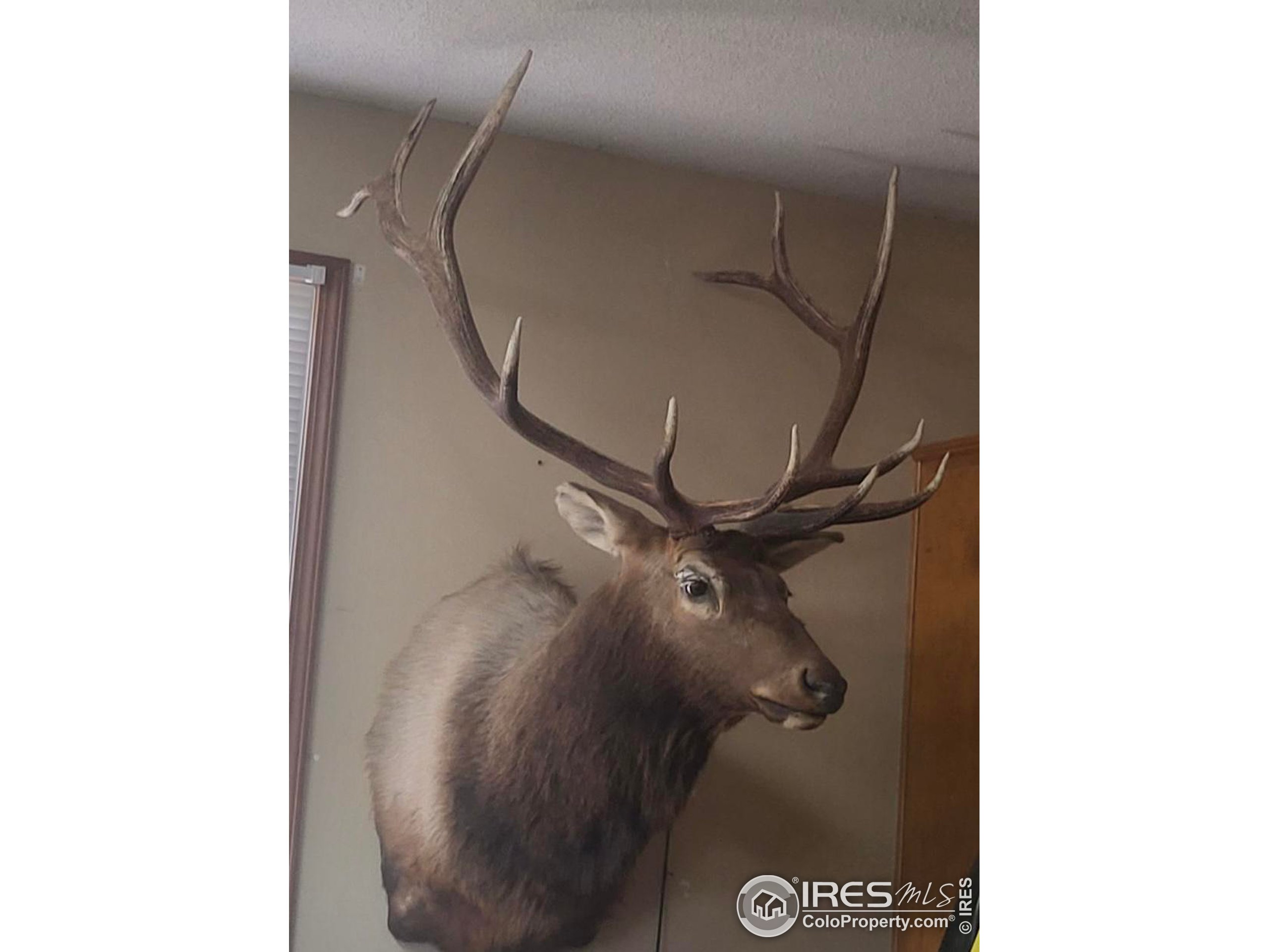 0 Parsons Draw Road Cowdrey, CO 80434 - Photo 36 of 40