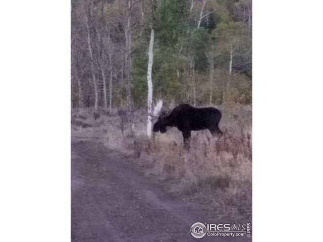 $987,000 | 0 Parsons Draw Road, Cowdrey, CO 80434