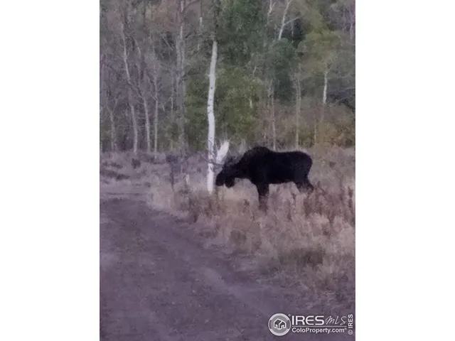 $987,000 | 0 Parsons Draw Road, Cowdrey, CO 80434