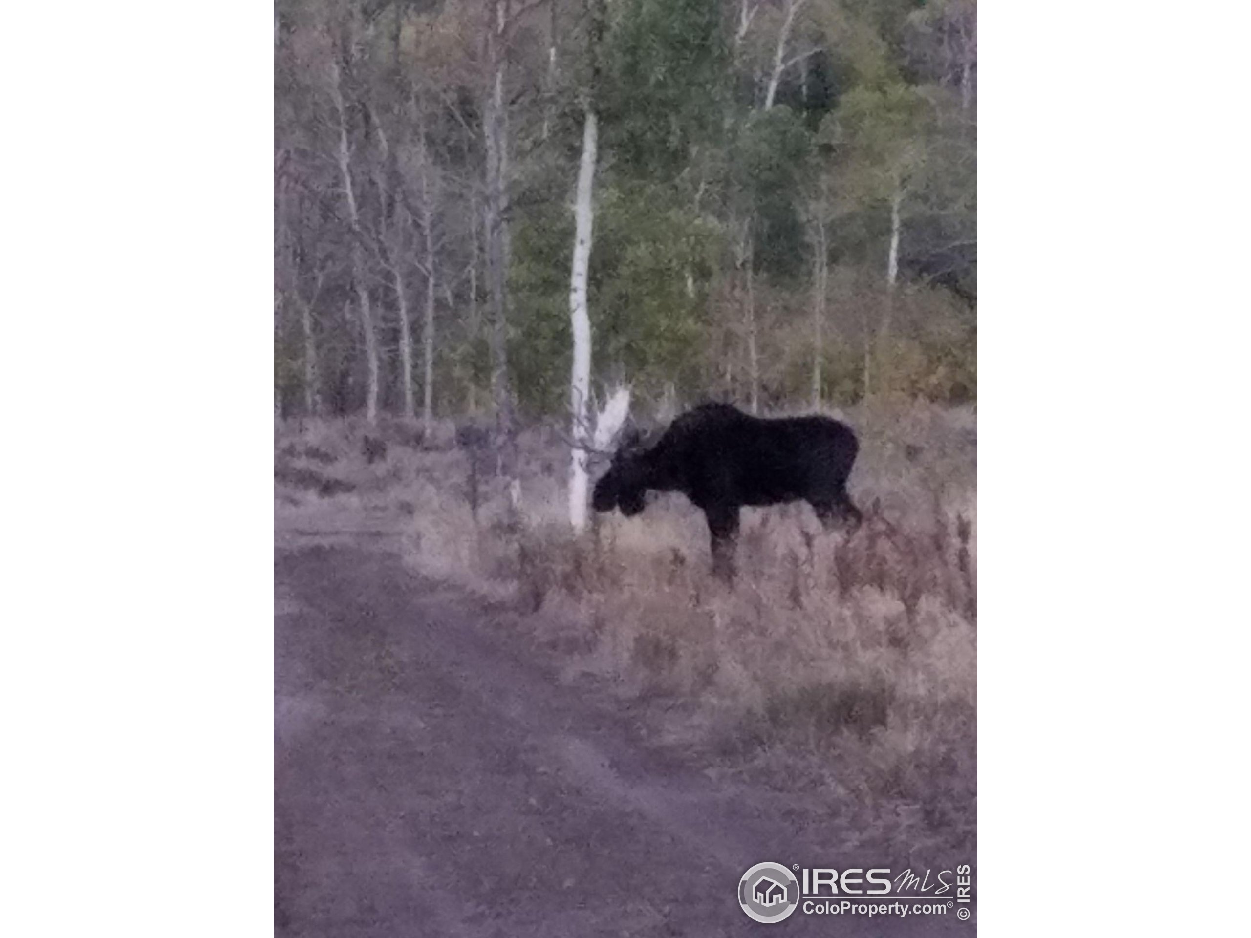 0 Parsons Draw Road Cowdrey, CO 80434 - Photo 37 of 40