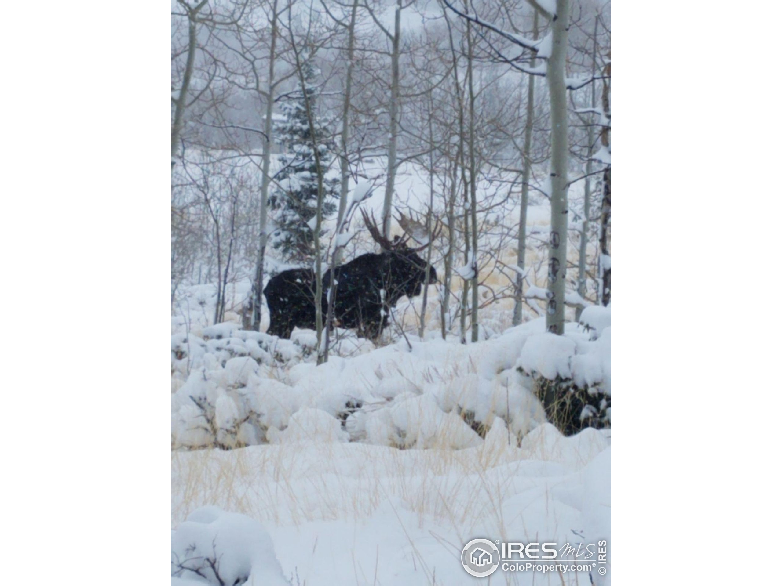 0 Parsons Draw Road Cowdrey, CO 80434 - Photo 39 of 40