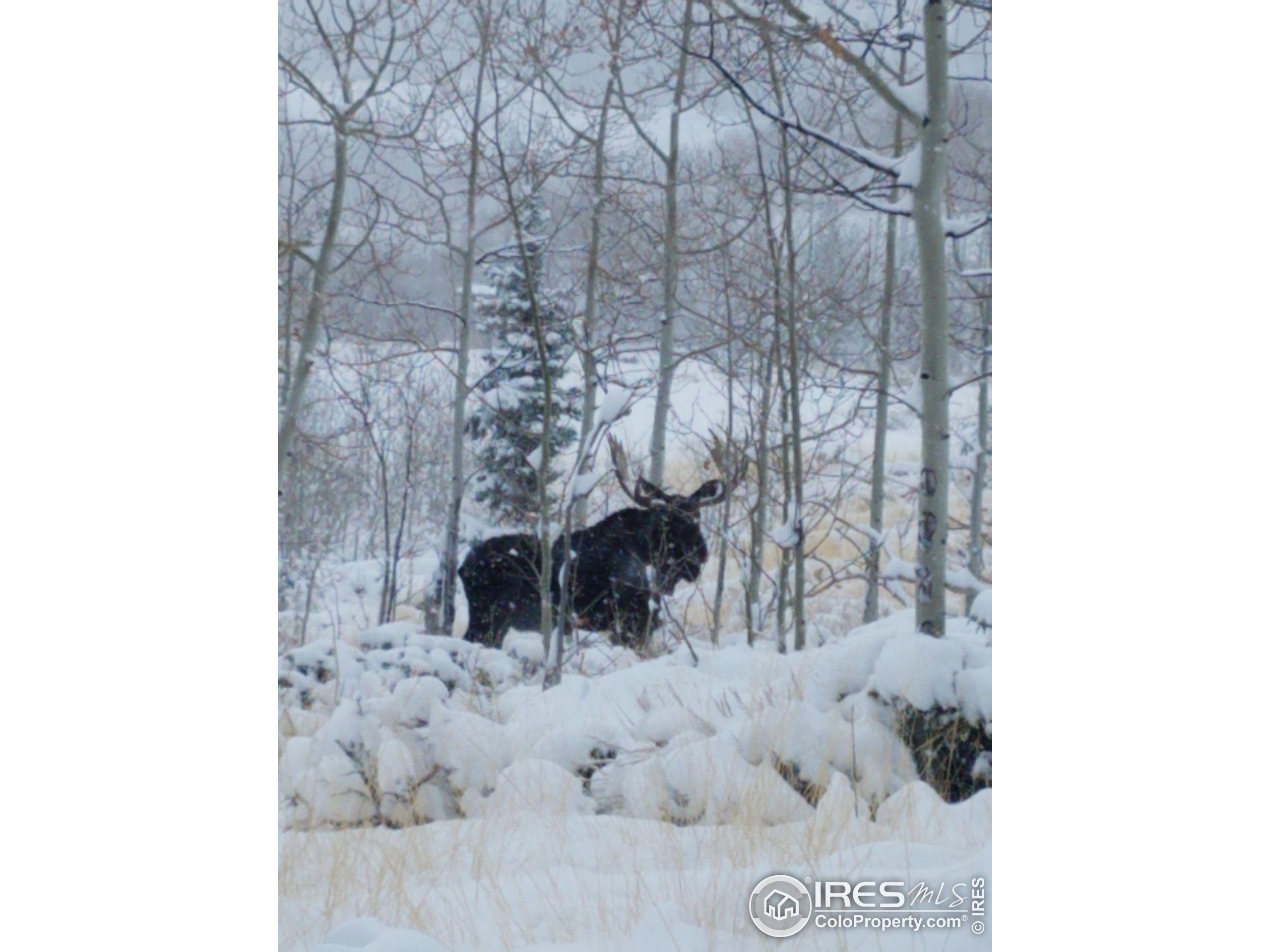 0 Parsons Draw Road Cowdrey, CO 80434 - Photo 40 of 40