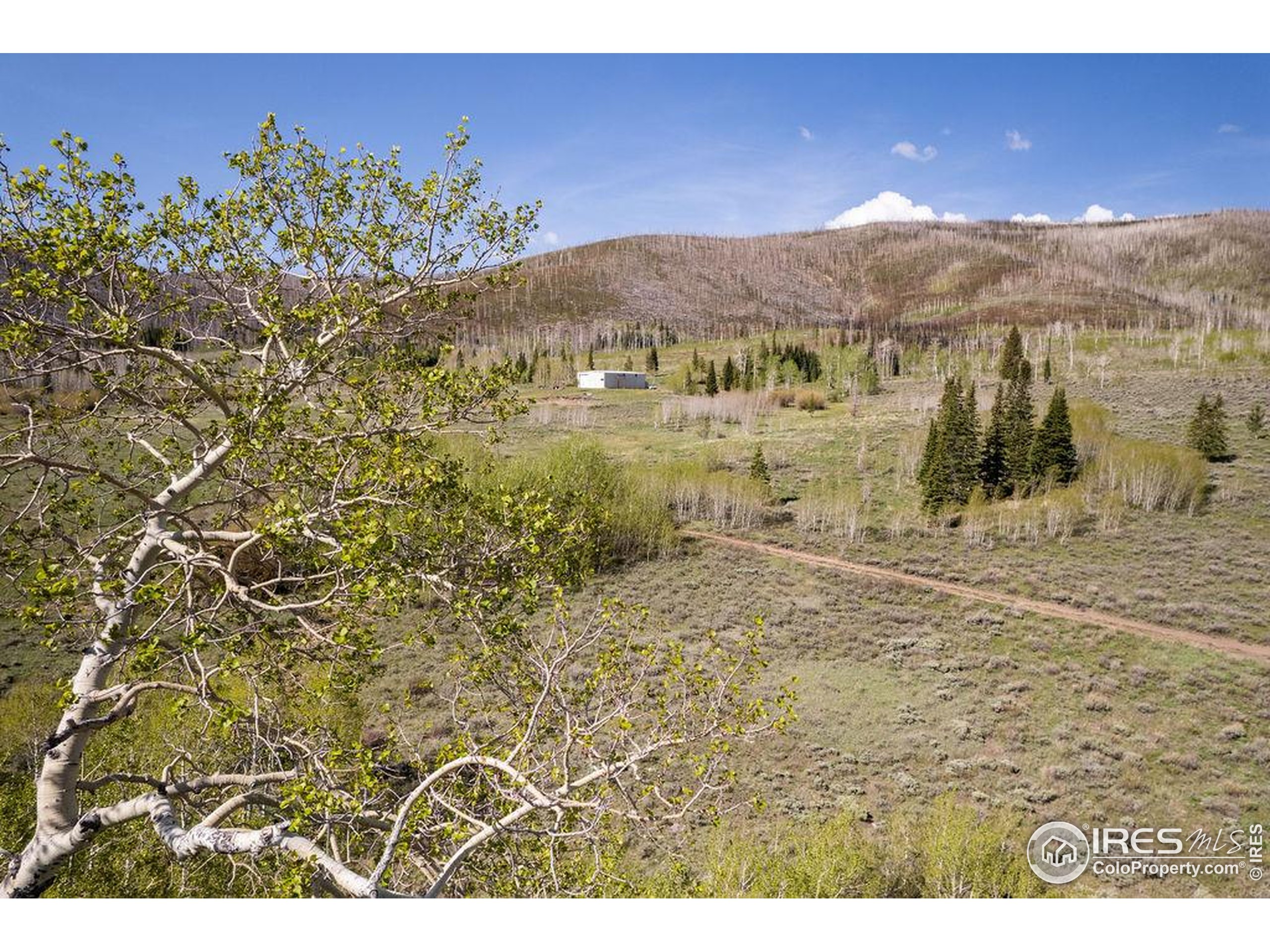 0 Parsons Draw Road Cowdrey, CO 80434 - Photo 6 of 40