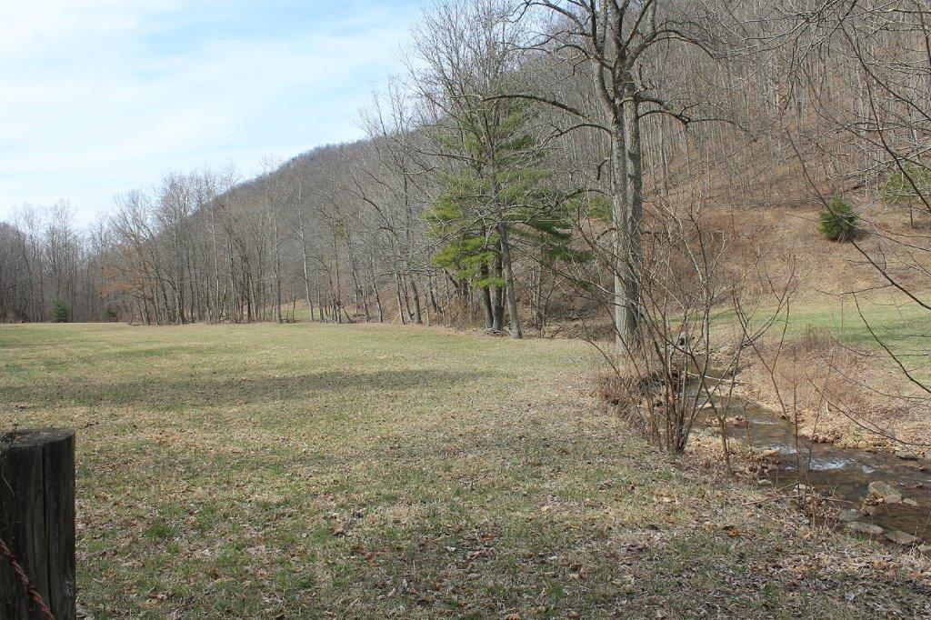 7600 Johnson Creek Road Covington, VA 24426 - Photo 11 of 43 IMG_8235