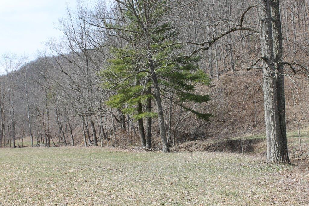 7600 Johnson Creek Road Covington, VA 24426 - Photo 24 of 43 IMG_8278