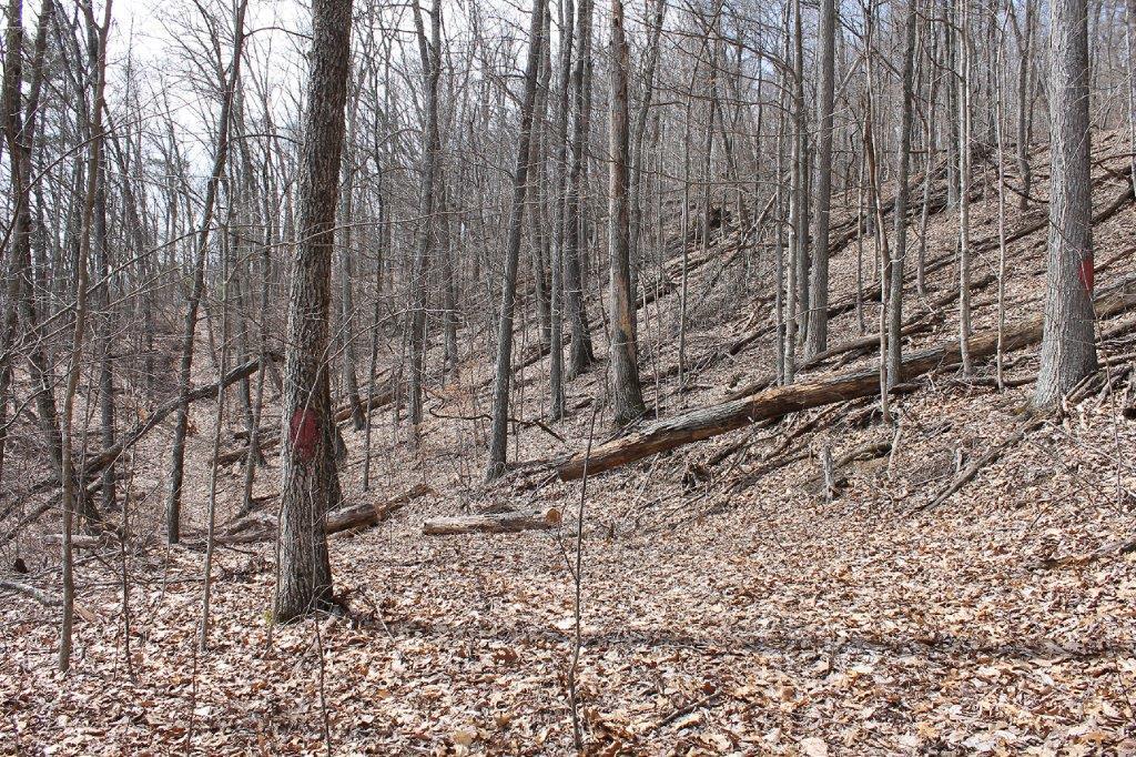7600 Johnson Creek Road Covington, VA 24426 - Photo 28 of 43 IMG_8288