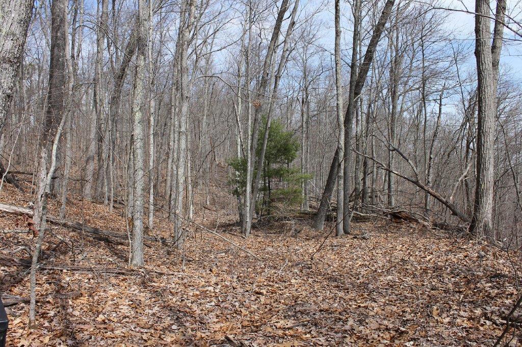 7600 Johnson Creek Road Covington, VA 24426 - Photo 29 of 43 IMG_8289