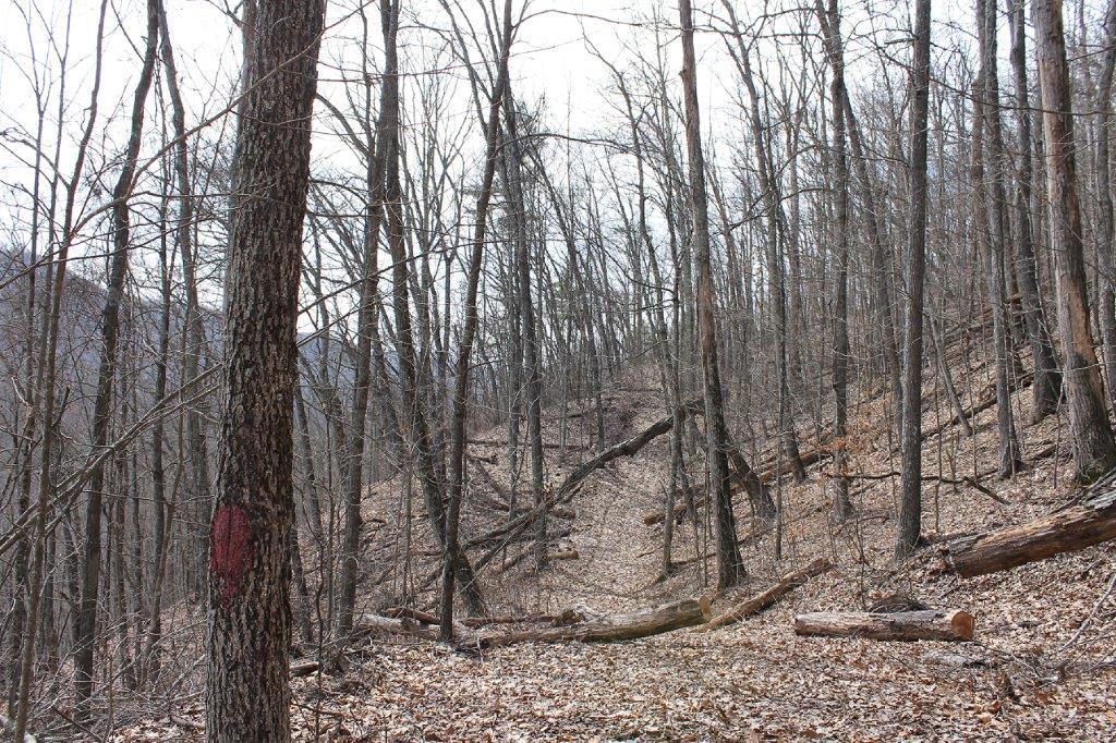7600 Johnson Creek Road Covington, VA 24426 - Photo 30 of 43 IMG_8290