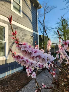 $564,900 | 1020 A Joyce Lane, Nashville, TN 37216