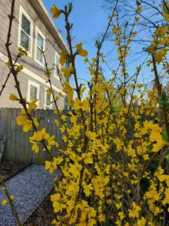 $564,900 | 1020 A Joyce Lane, Nashville, TN 37216