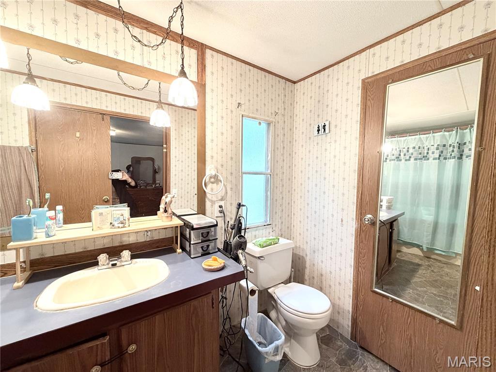 2809 County Road 115 Road Annapolis, MO 63620 - Photo 8 of 28