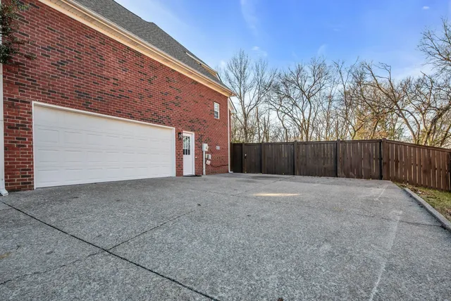 a view of backyard and tree