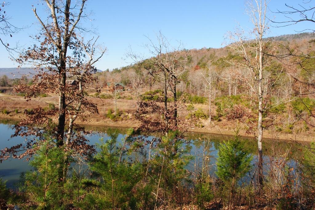 566 Lakeview Drive Rising Fawn, GA 30738 - Photo 1 of 18 DSC_0196 (1024x685)