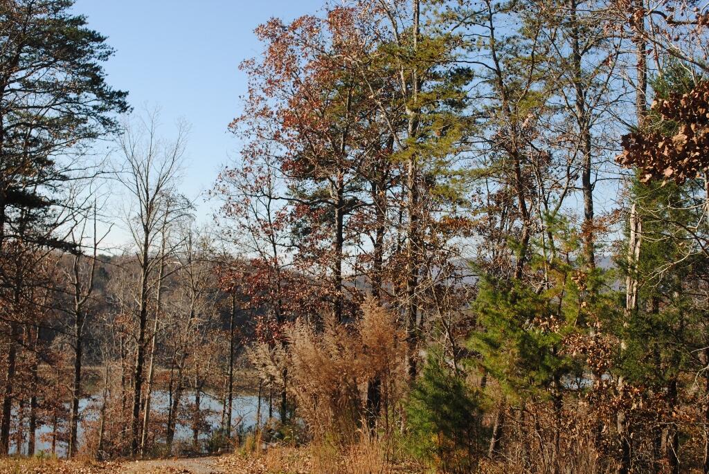 566 Lakeview Drive Rising Fawn, GA 30738 - Photo 5 of 18 DSC_0190 (1024x685)
