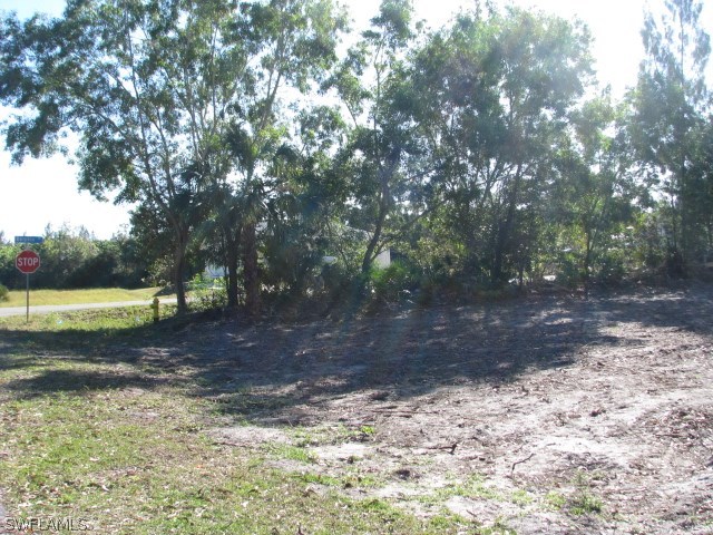 5775 Sea Bass Road Bokeelia, FL 33922 - Photo 4 of 5 a view of a yard with a tree
