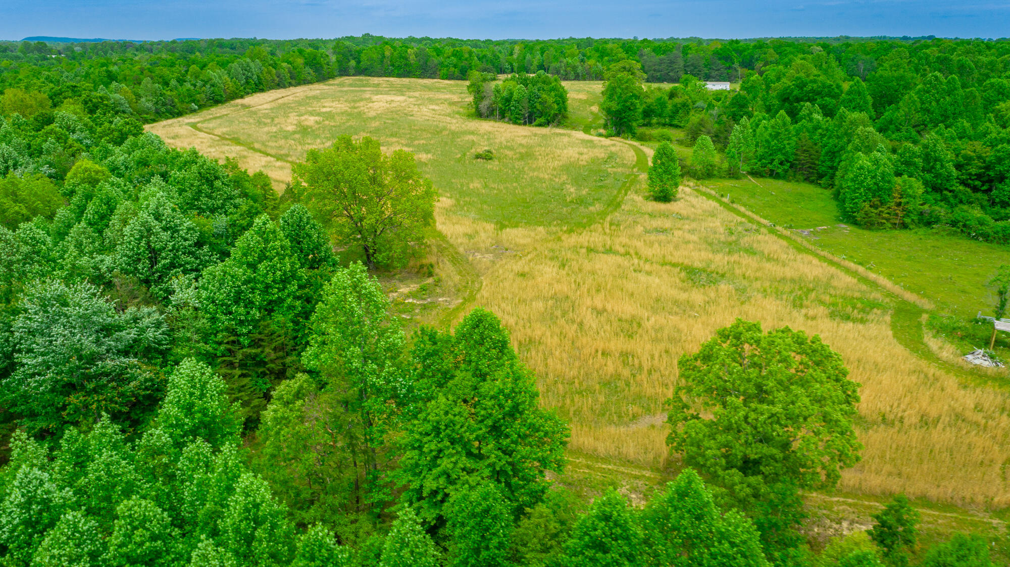 0 Ray Gadd Road Graysville, TN 37338 - Photo 92 of 109 Ray Gadd Road Lot HD-117