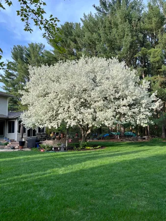 $519,900 | E10471 Pine Circle, Prairie du Sac, WI 53578