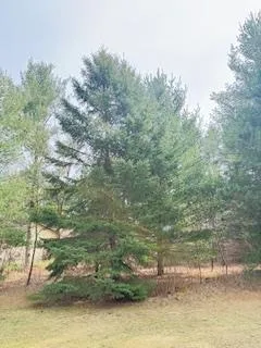 $519,900 | E10471 Pine Circle, Prairie du Sac, WI 53578