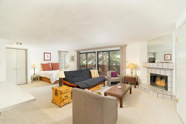 $5,000 | 935 East Hopkins Avenue, Unit 6, Aspen, CO 81611