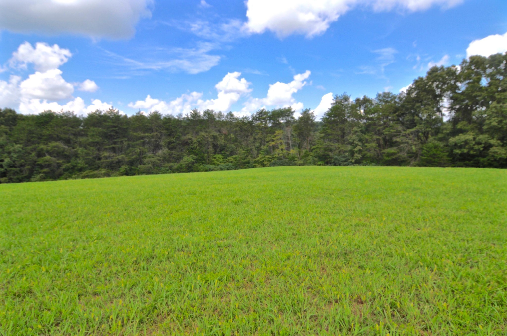0 Marble Hill Road Friendsville, TN 37737 - Photo 2 of 7 Gallery Image 2