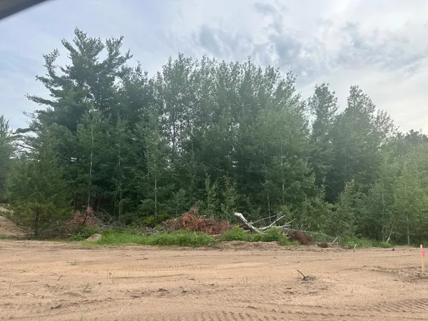 $53,900 | Lot 11-blk Brummer Drive, Randall, MN 56475