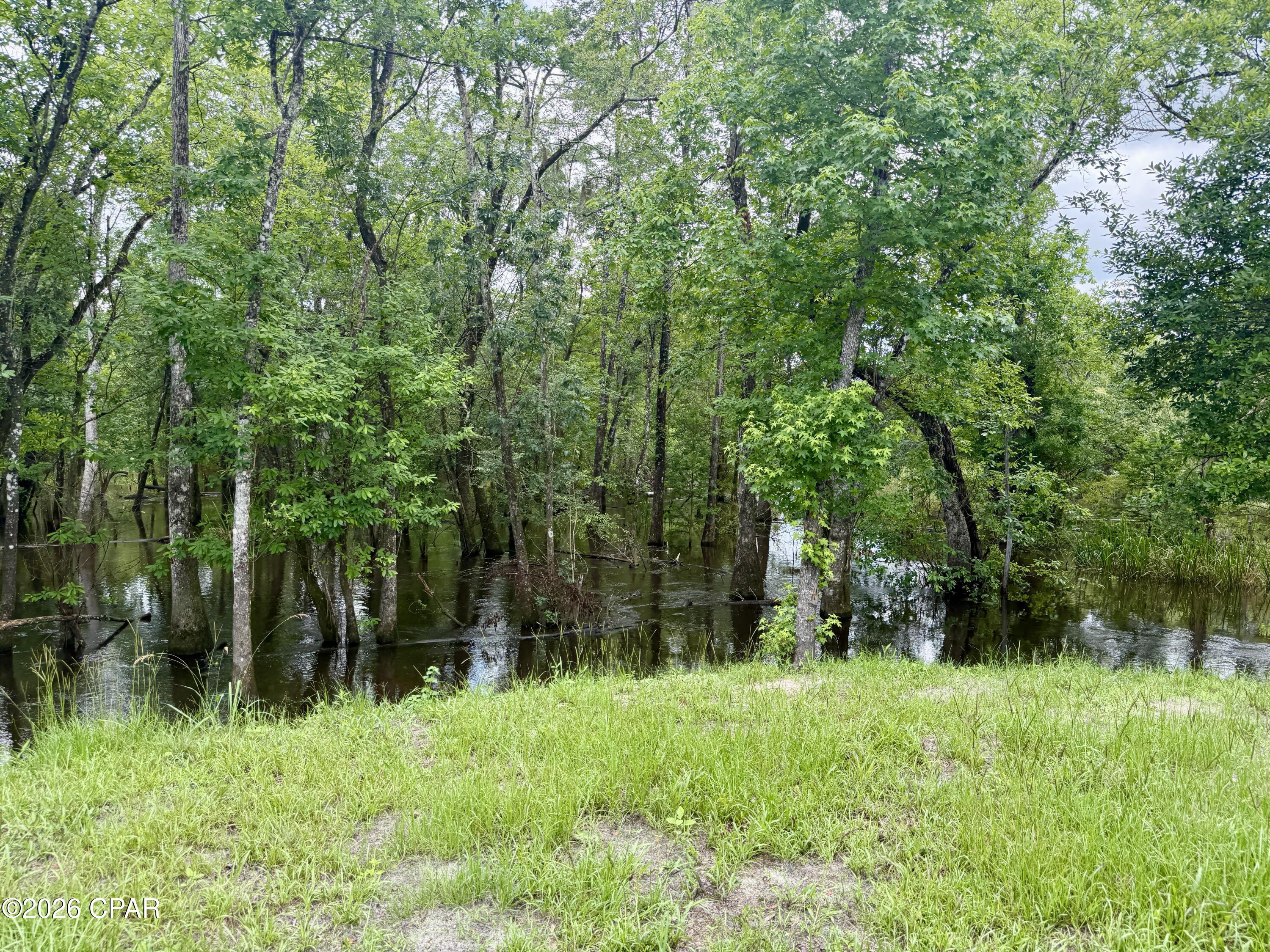 14567 C J Roberts Road Blountstown, FL 32424 - Photo 13 of 38