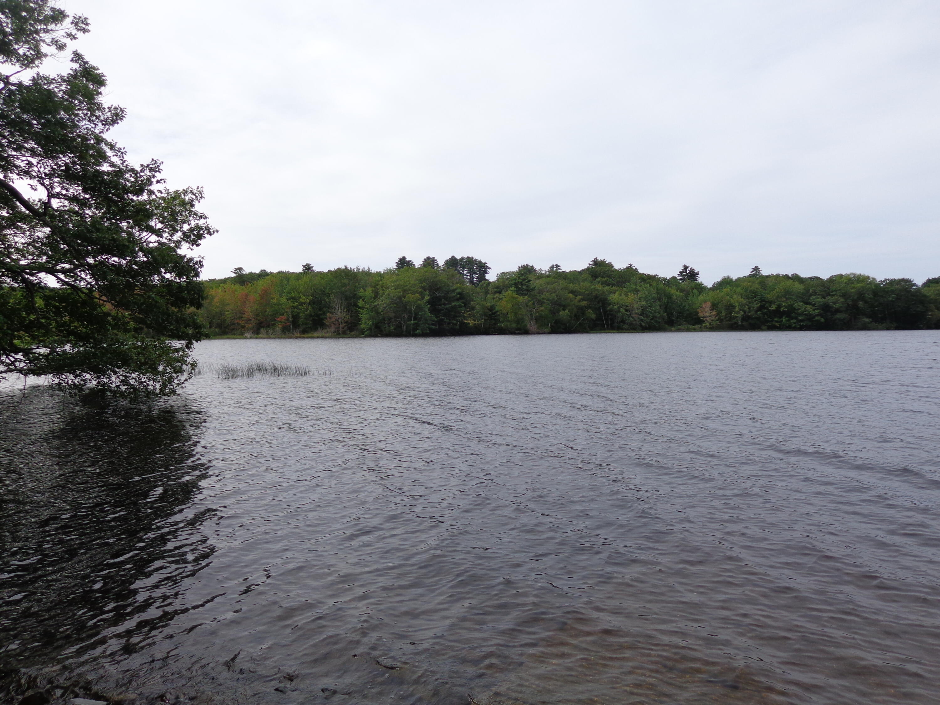 0 Gardiner Road Jefferson, ME 04348 - Photo 7 of 17 DSC01730
