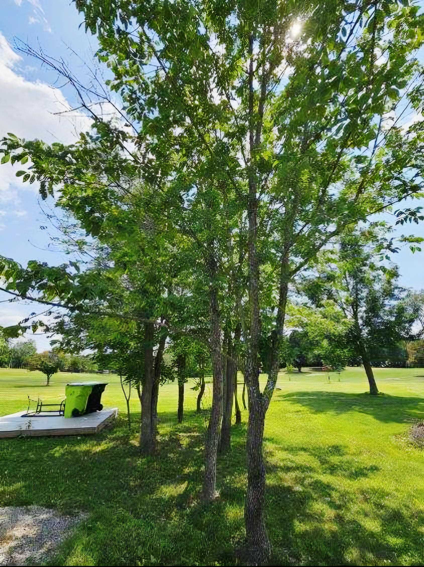 1829 Linksview Way Gladwin, MI 48624 - Photo 6 of 18