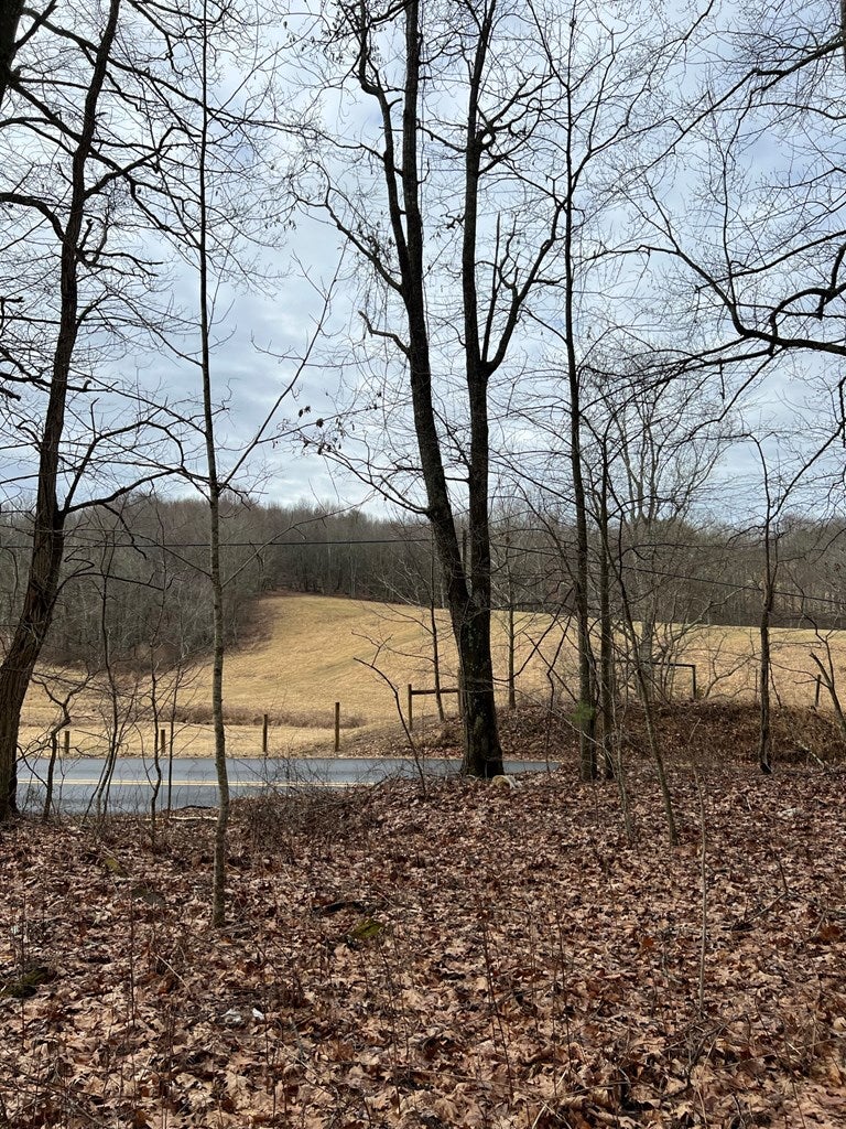 9637 Dugspur Road Laurel Fork, VA 24352 - Photo 26 of 32 Gallery Image 26