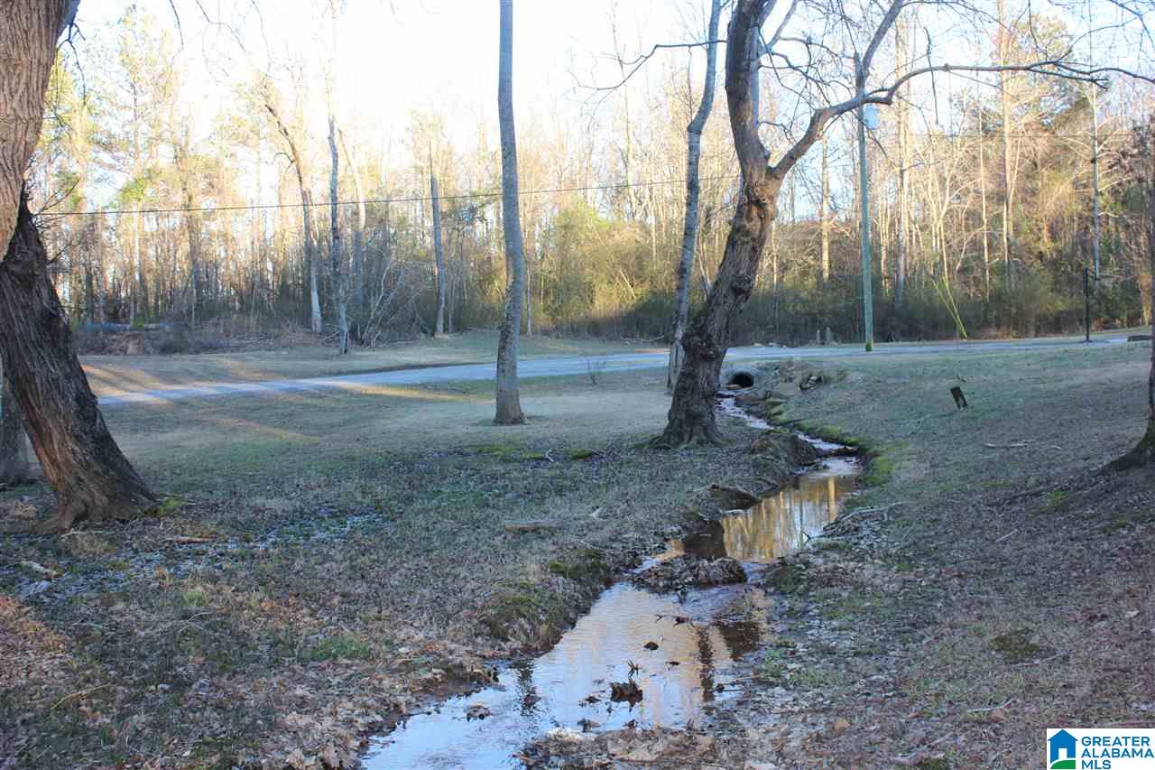 916 Horton Mill Road Oneonta, AL 35121 - Photo 27 of 28 Gallery Image 27