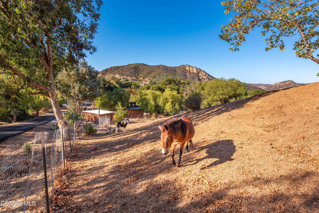 356 East Carlisle Road Thousand Oaks, CA 91361 - Photo 62 of 74