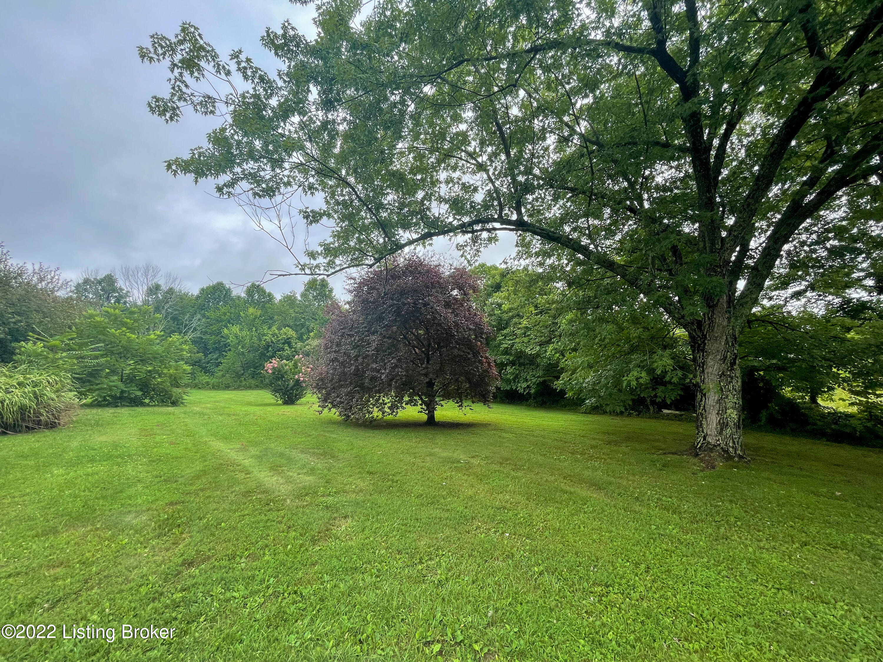 220 Pine Ridge Road Battletown, KY 40104 - Photo 21 of 49 421ADB65-E5E3-4859-B531-A392F536765E