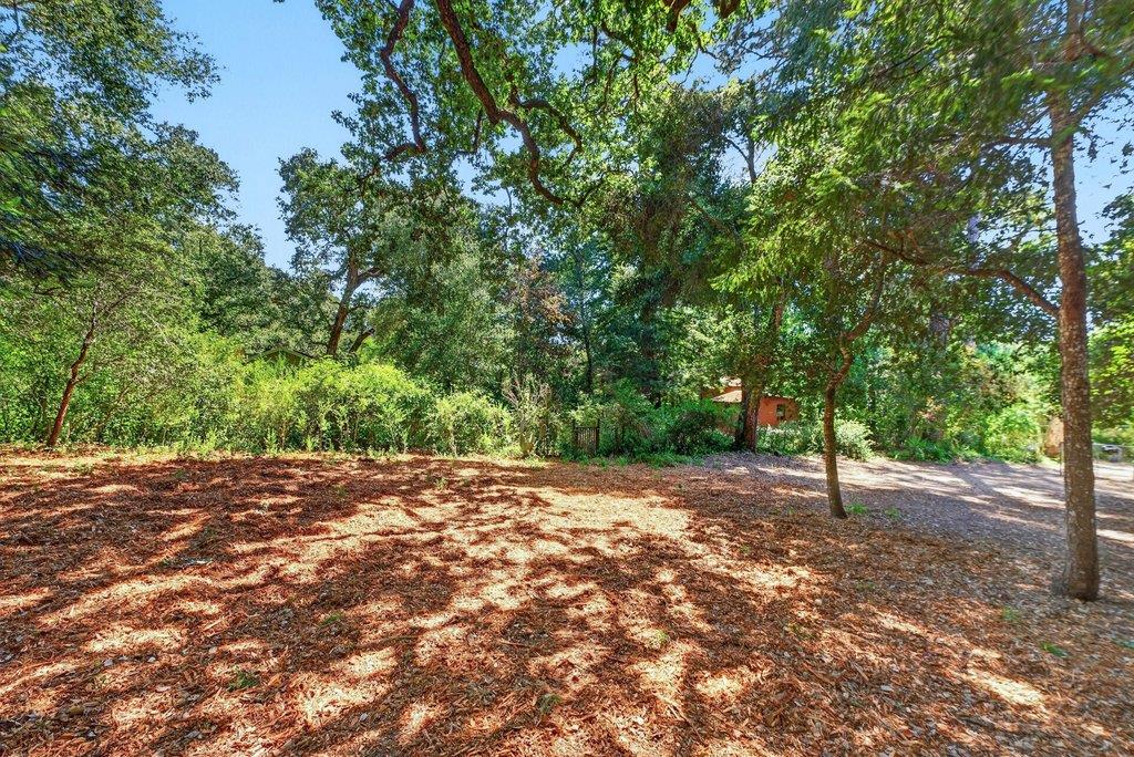 8484 East Zayante Road Felton, CA 95018 - Photo 52 of 58