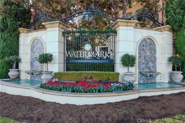 a view of road with tall trees