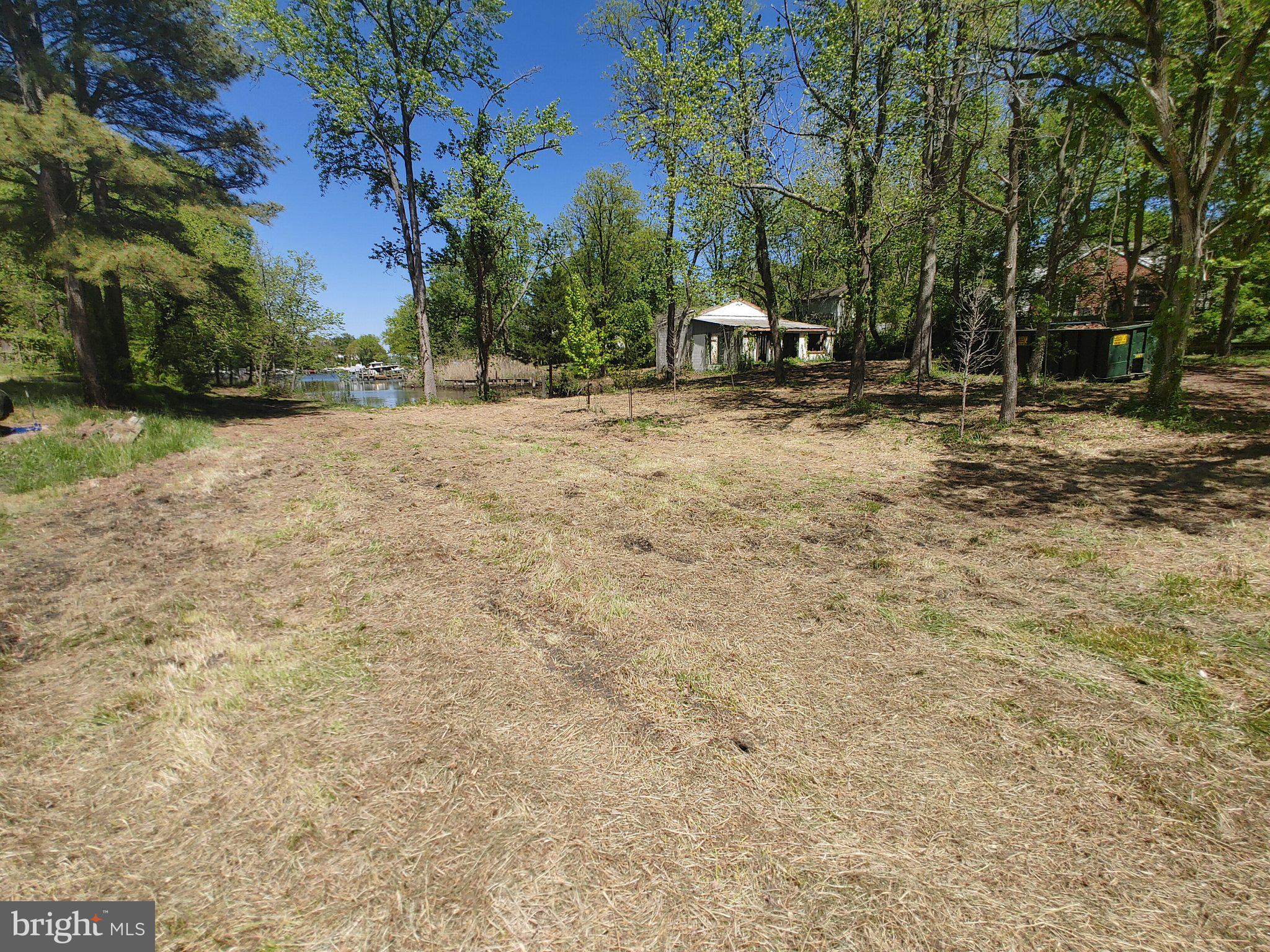 4180 Shoreham Beach Road Edgewater, MD 21037 - Photo 21 of 26 a view of outdoor space with trees