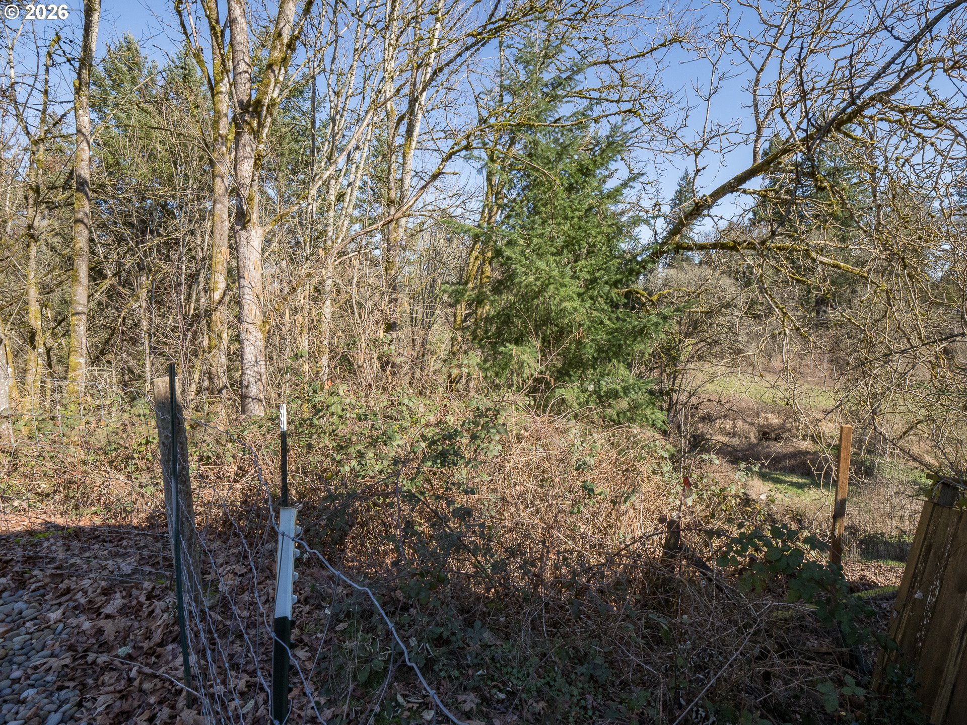 600 Wynooski Street Newberg, OR 97132 - Photo 27 of 48 a view of forest