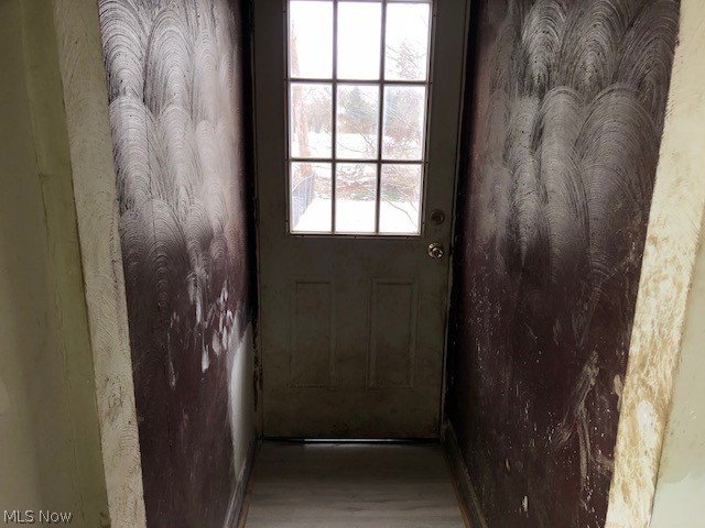 8806 Fosdick Road Cleveland, OH 44125 - Photo 18 of 28 Rear entry door