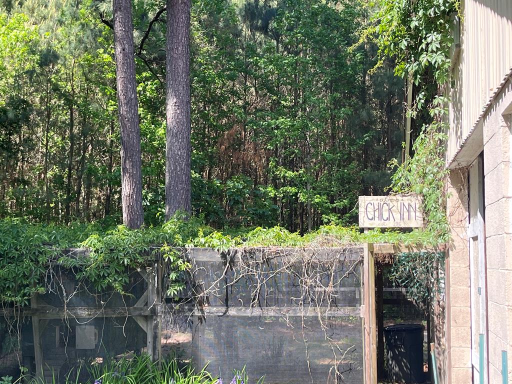 4333 James Wharf Road Exmore, VA 23350 - Photo 25 of 31